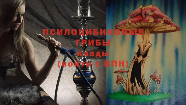 мяу мяу кристалл Ладушкин