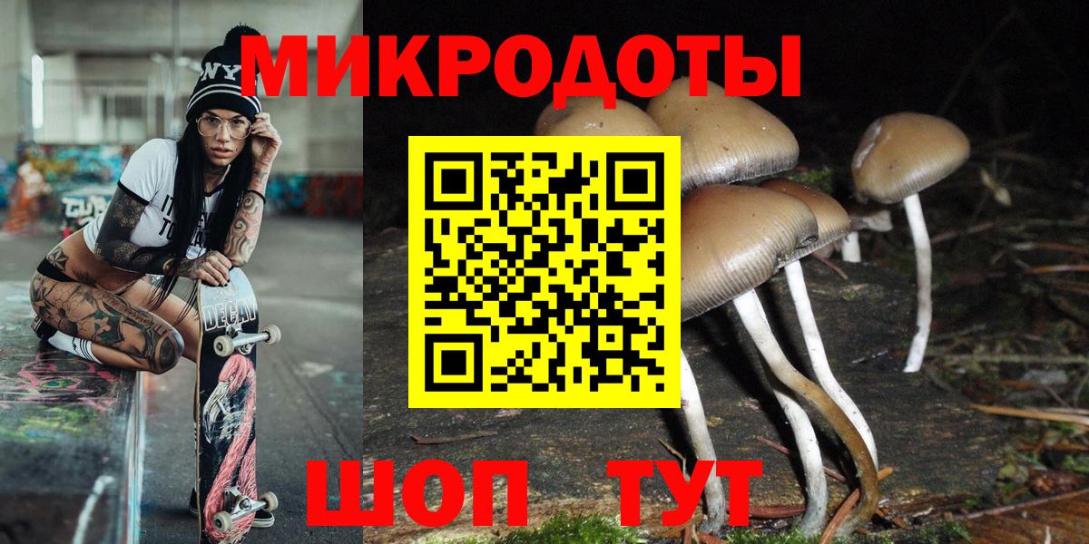 Кострома  Псилоцибиновые грибы мухоморы  Вход с VPN 