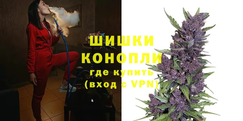 Бошки Шишки OG Kush  наркотики  Кострома 